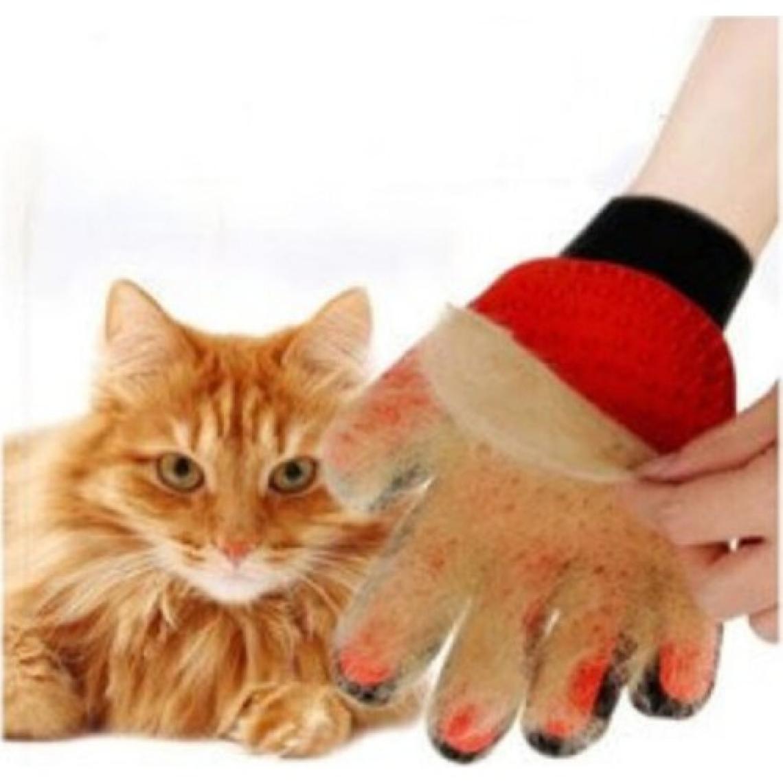 Lion Pet Tüy Toplama Eldiveni Kedi ve Köpeklere- Kırmızı