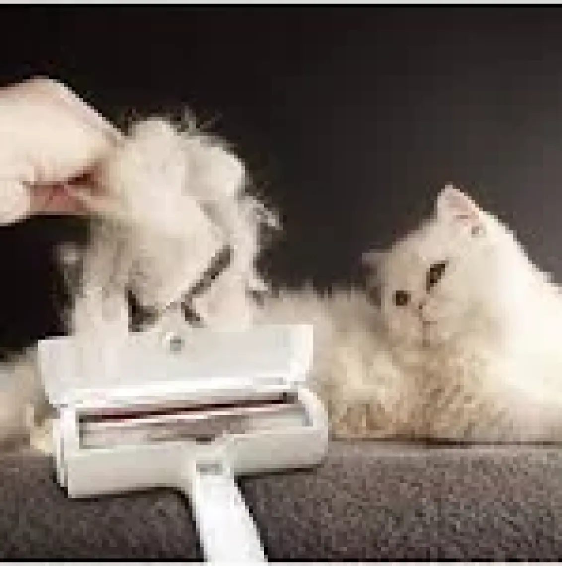 Buffer Hazneli Kedi Köpek Evcil Hayvan Kazak Kıyafet Elbise Halı Yatak Tüy Temizleyici Kıl Toz Toplayıcı