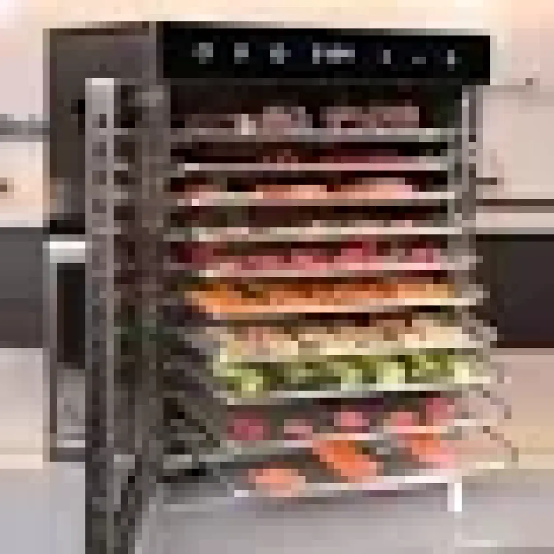 Vosco 10 Tepsili Pro Meyve ve Sebze Kurutma Makinesi VSS-10H