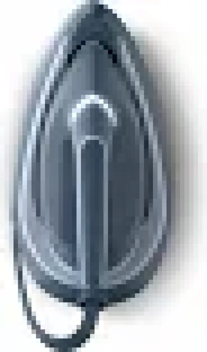 Philips PSG6042/206000 Serisi Perfectcare Buhar Kazanlı Ütü, Güçlü Buhar, 1,8 L Çıkarılabilir Su Haznesi, Sıfır Yanık Riski, SteamGlide,