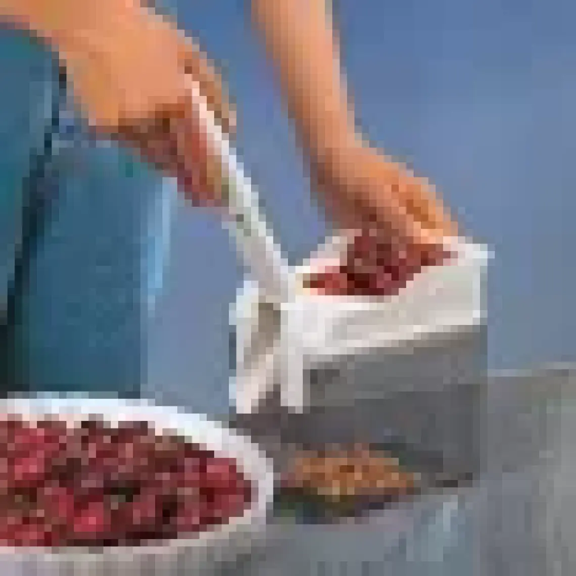 Leifheit Cherymat Vişne Çekirdeği Çıkarıcı LFH37200