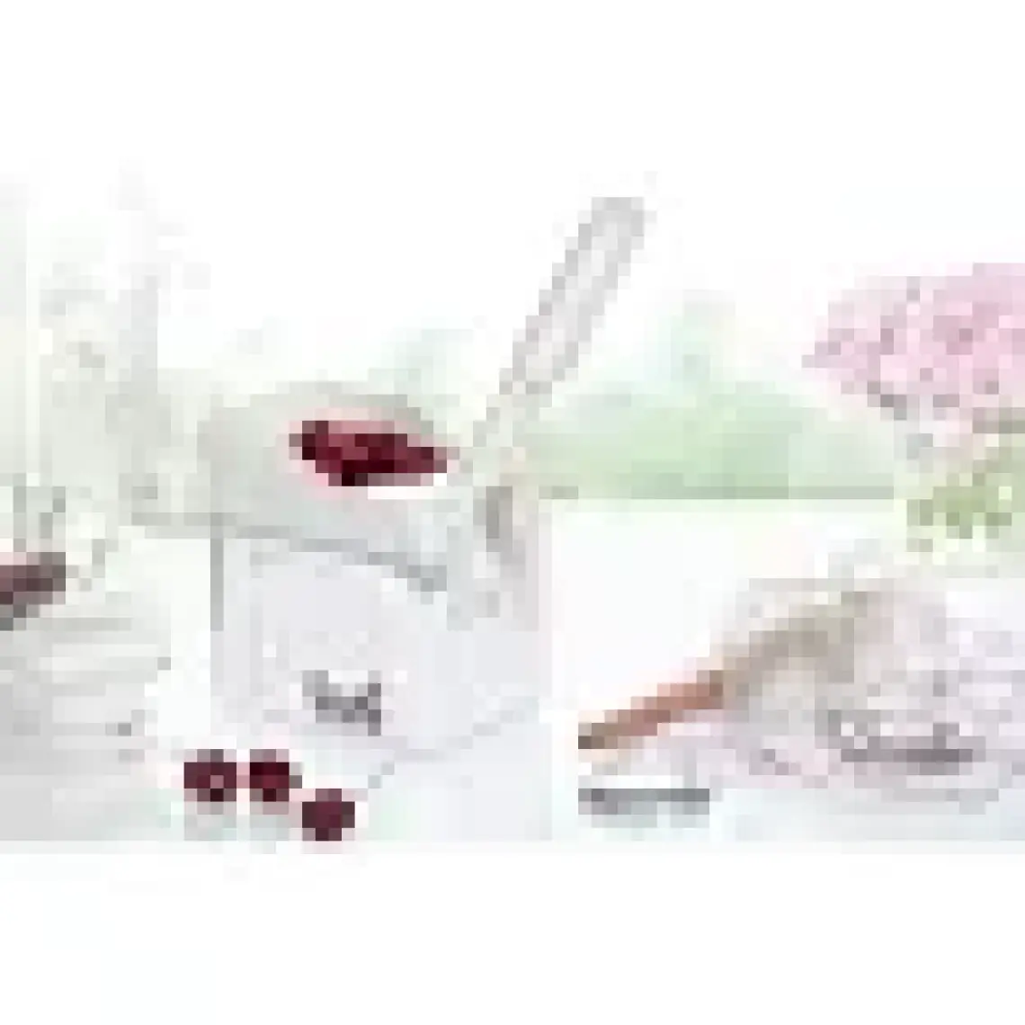 Leifheit Cherymat Vişne Çekirdeği Çıkarıcı LFH37200
