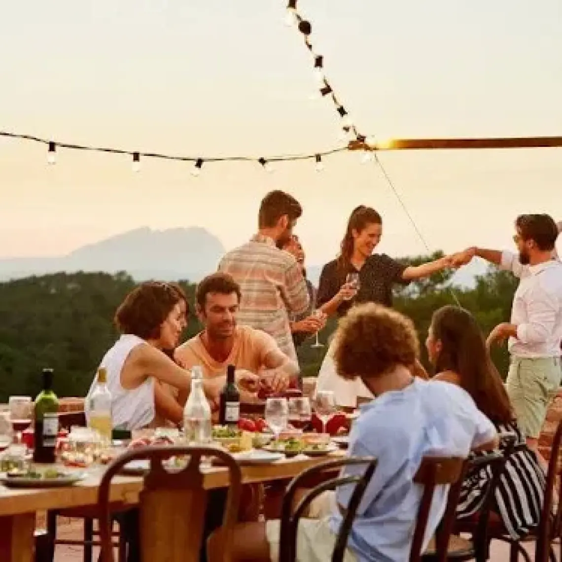 Vacu Vin Aktif Soğutucu Zarif - Kutulu