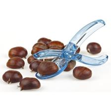Okyanus Kestane Çizici