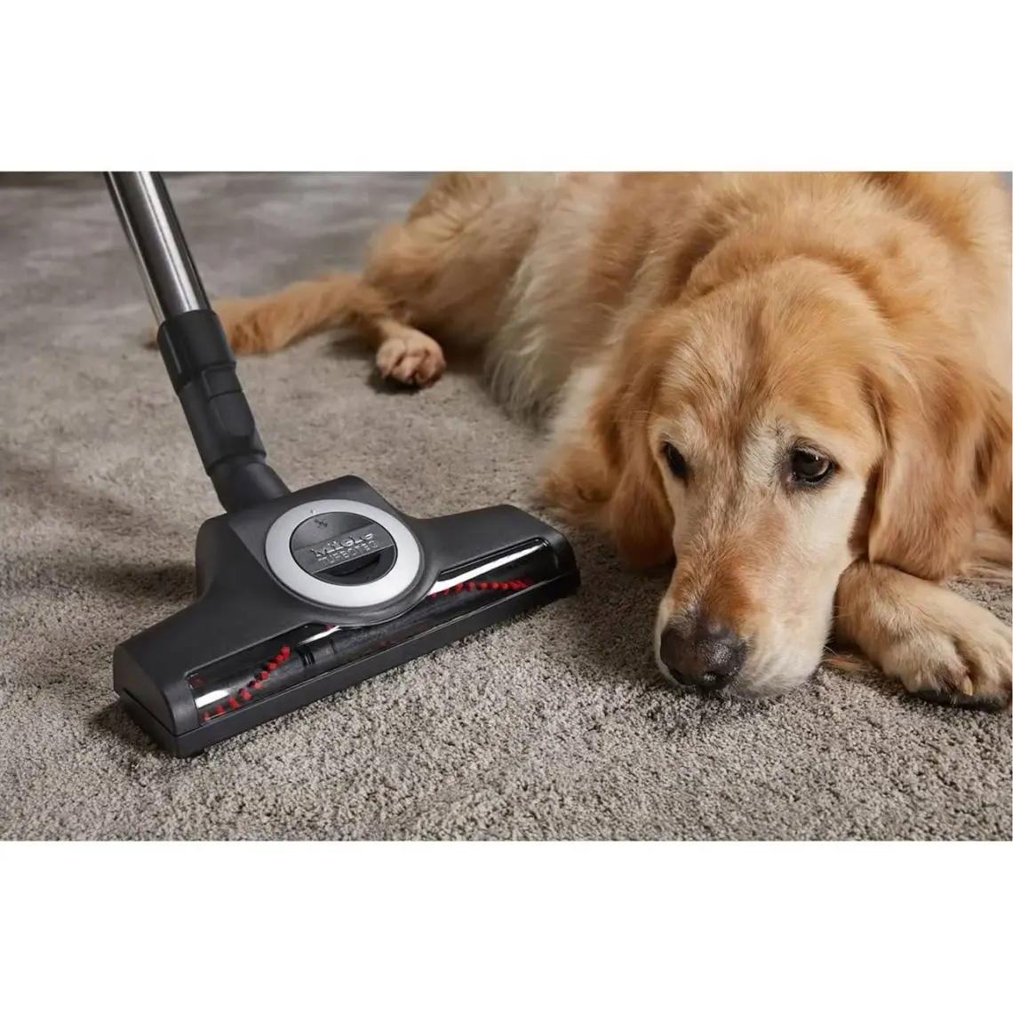 Miele Blizzard Cx1 Powerline Skrf5 890W Toz Torbasız Elektrikli Süpürge - Gri