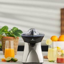 Freshmix Inox Narenciye Sıkacağı 601