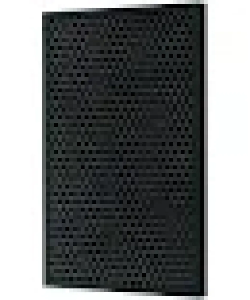 Bissell 2677 AIR320 & AIR220 Hava Temizleyicilere Özel Aktif Karbon Filtresi