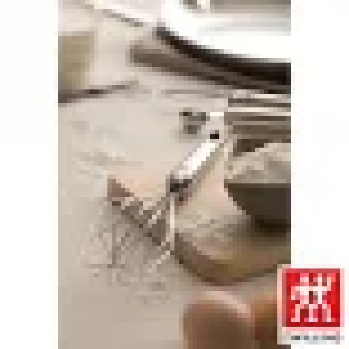 Zwilling Pro Büyük Boy Çırpıcı
