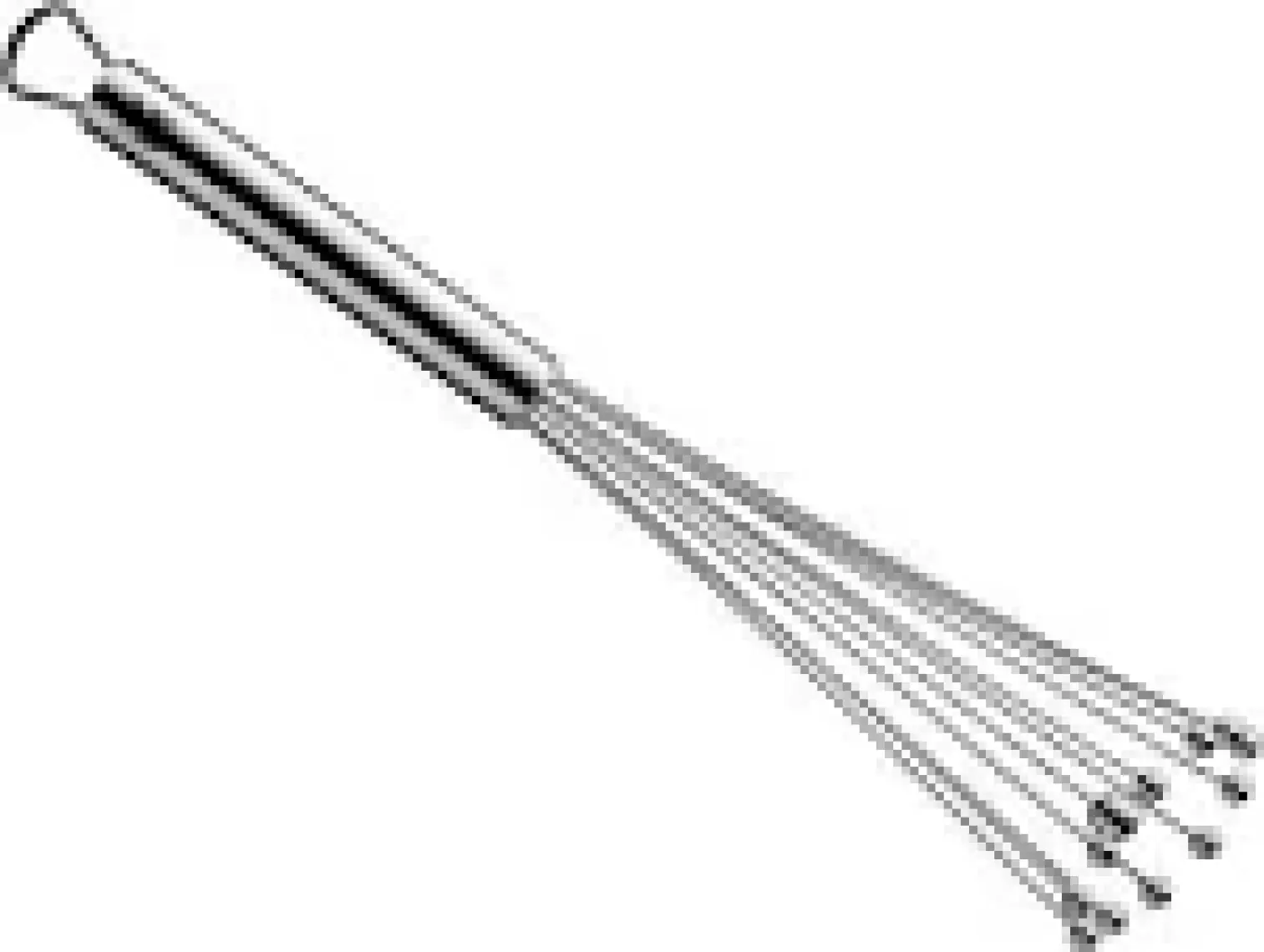 Wmf Profi Plus Flexi Çırpıcı 27 cm