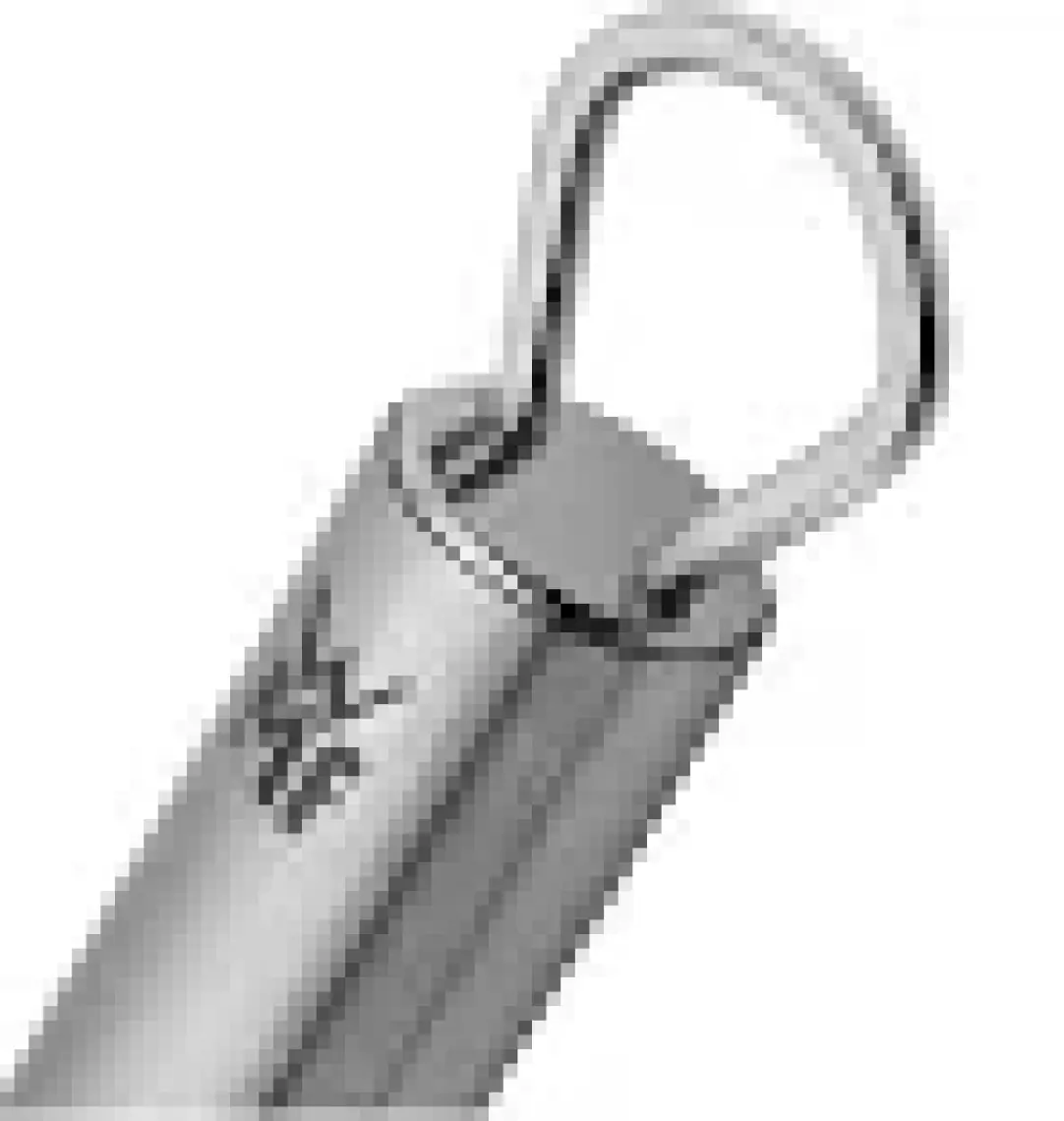 Wmf Profi Plus Flexi Çırpıcı 27 cm