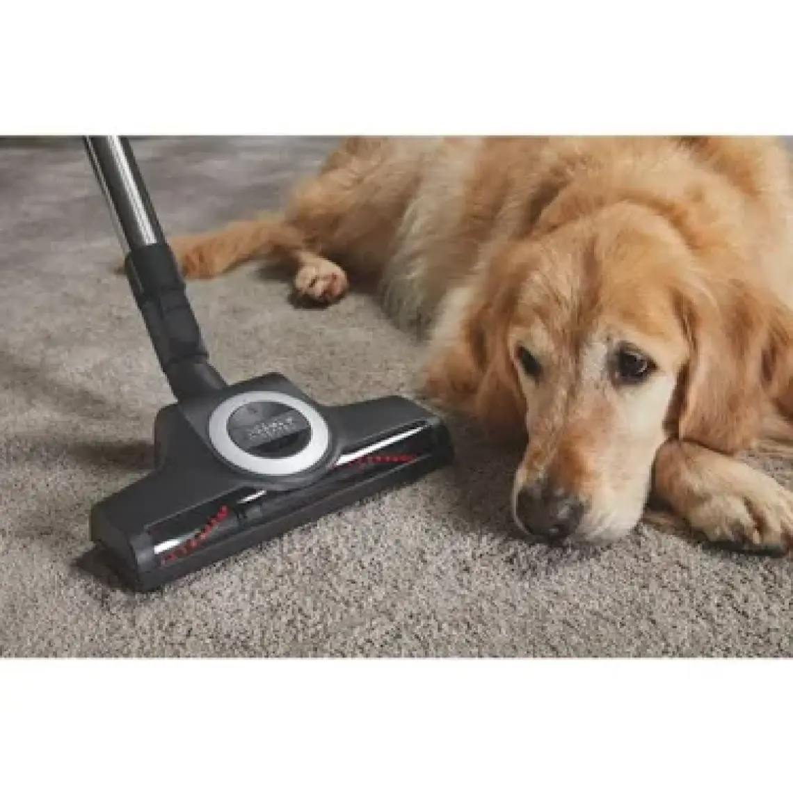Miele STB 305-3 Turbo Yer Fırçası