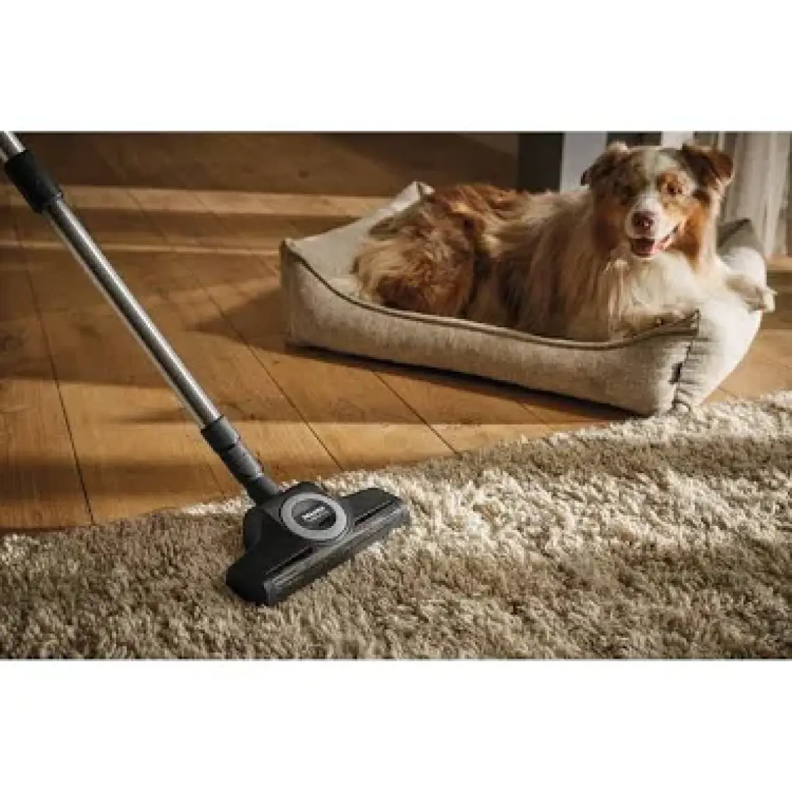 Miele STB 305-3 Turbo Yer Fırçası