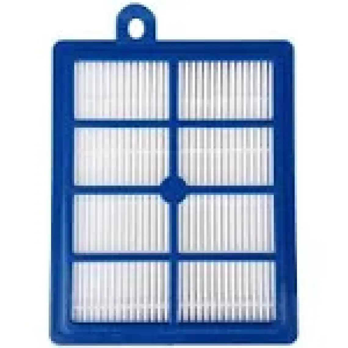 Philips Fc 9225 Marathon Hepa Filtre