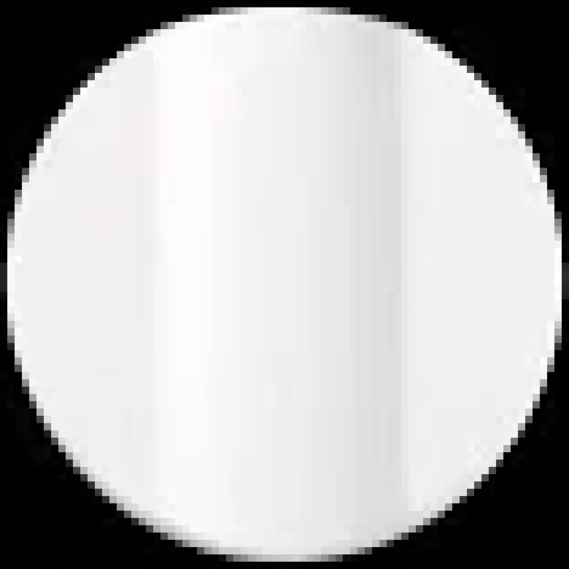 Roidmi X30 Pro & X20 & S2 Yıkanabilir Hepa Filtre 2li Paket