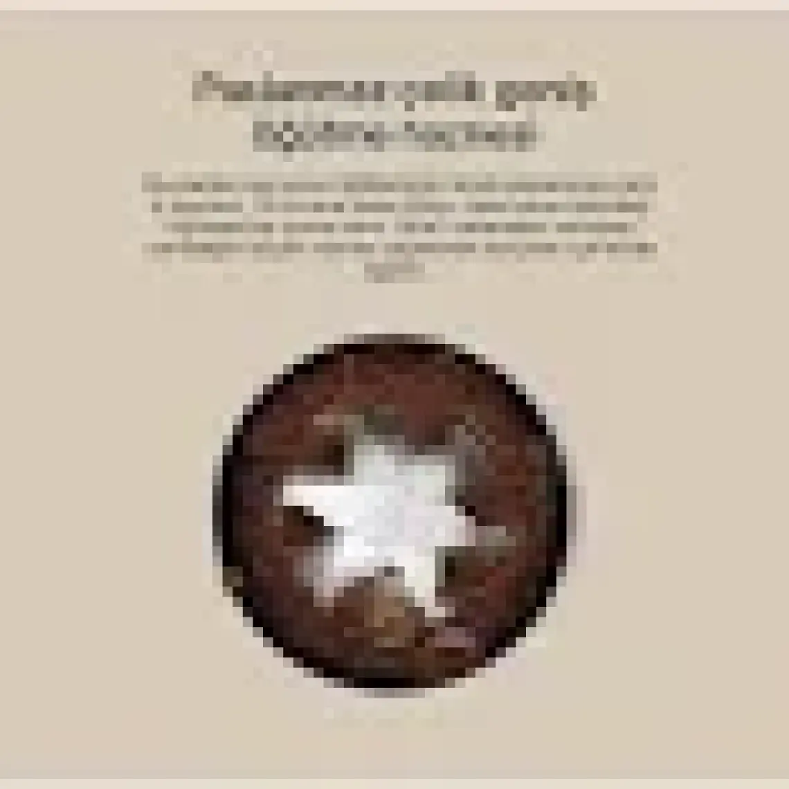 RossClean Grind Kahve ve Baharat Öğütücü (RossClean Türkiye Garantili)