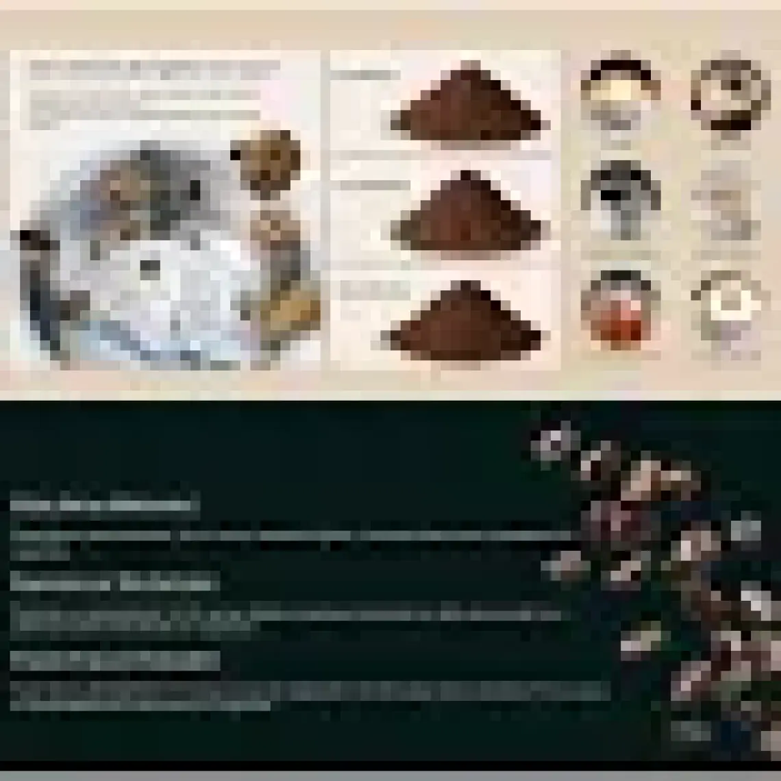 RossClean Grind Kahve ve Baharat Öğütücü (RossClean Türkiye Garantili)
