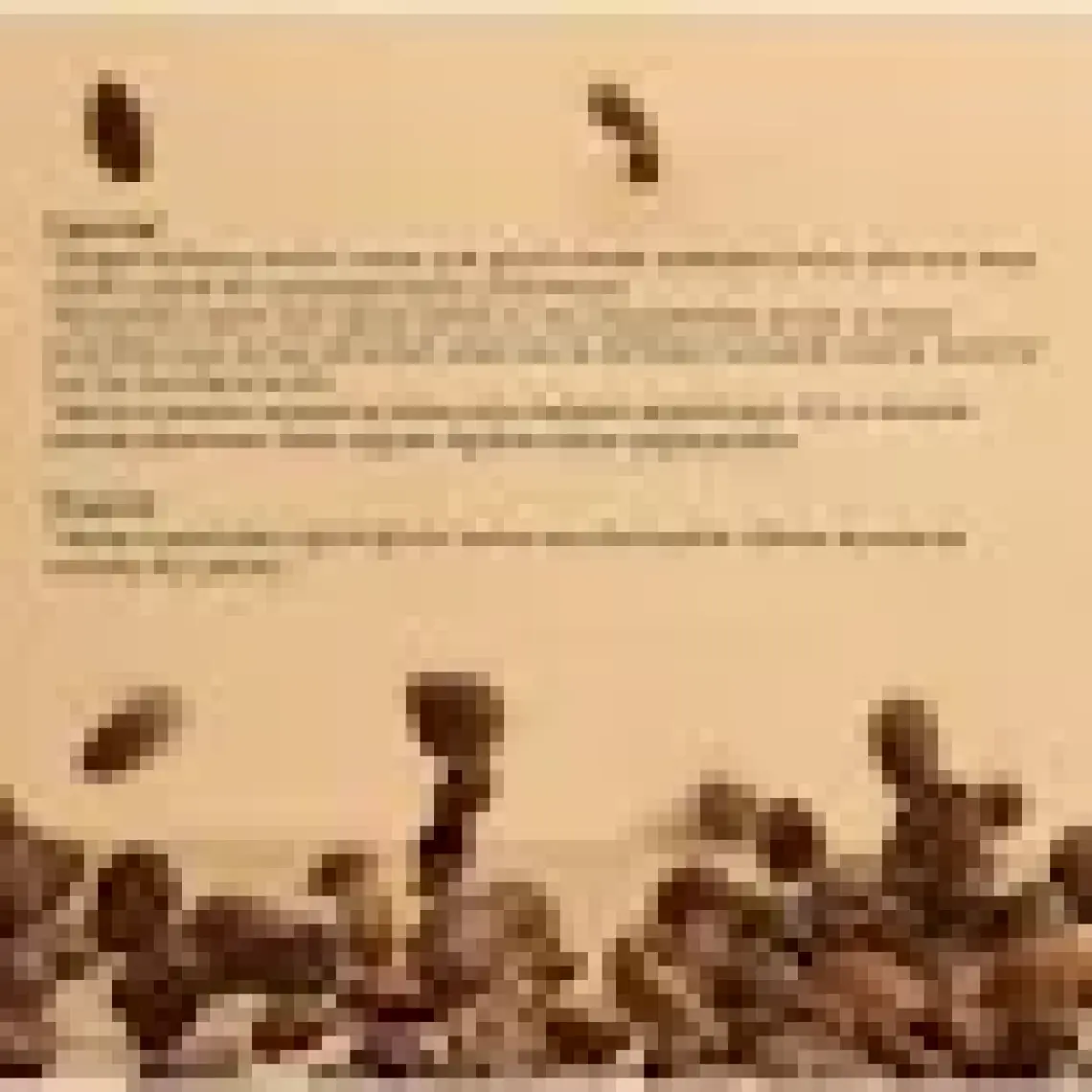 RossClean Grind Kahve ve Baharat Öğütücü (RossClean Türkiye Garantili)