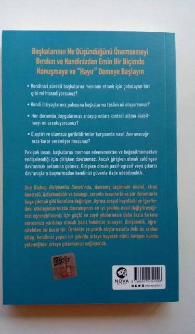 Girişkenlik Sanatı - Sue Bishop