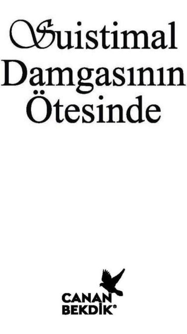 Canan Bekdik Farkındalık Danışmanlığı A.Ş. Suistimal Damgasının Ötesinde - Linda Wasil