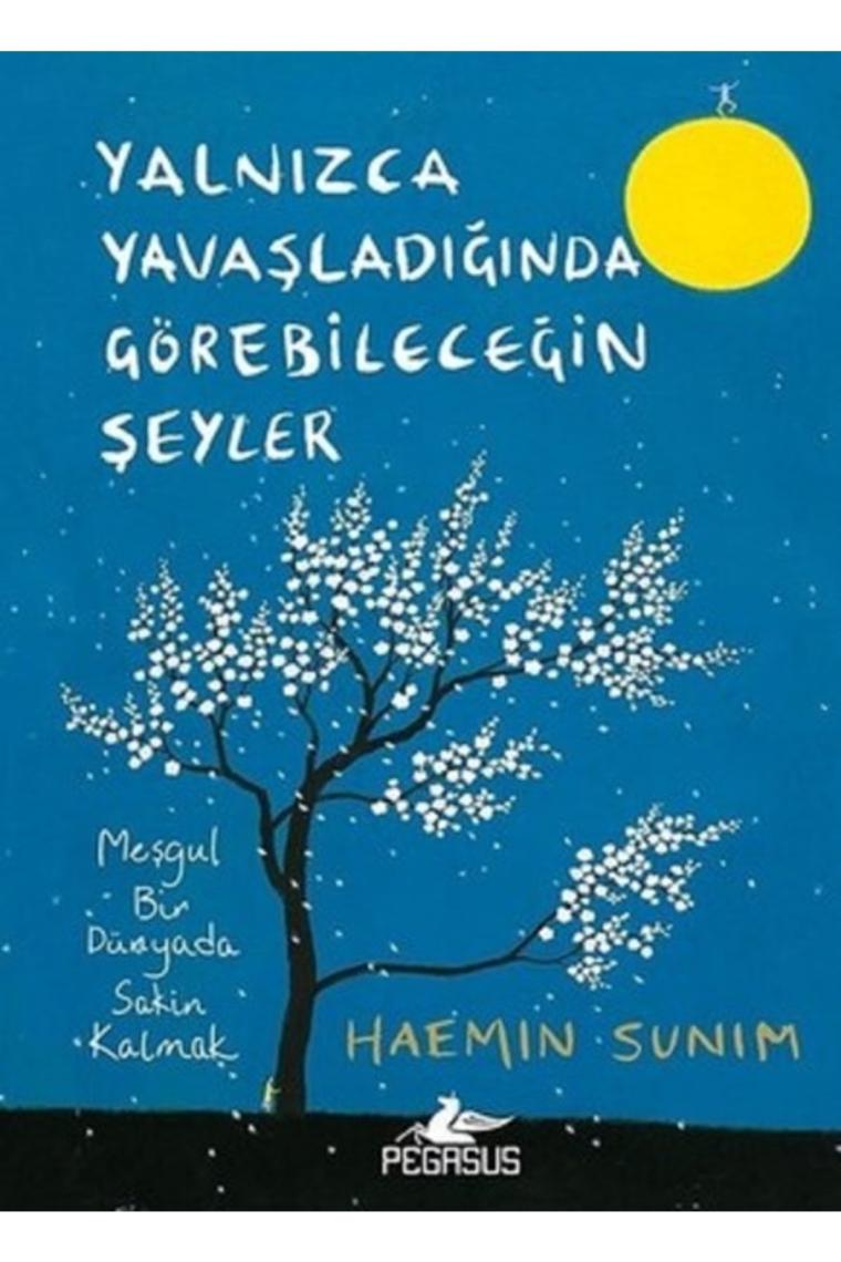 Yalnızca Yavaşladığında Görebileceğin Şeyler Haemin Sunim