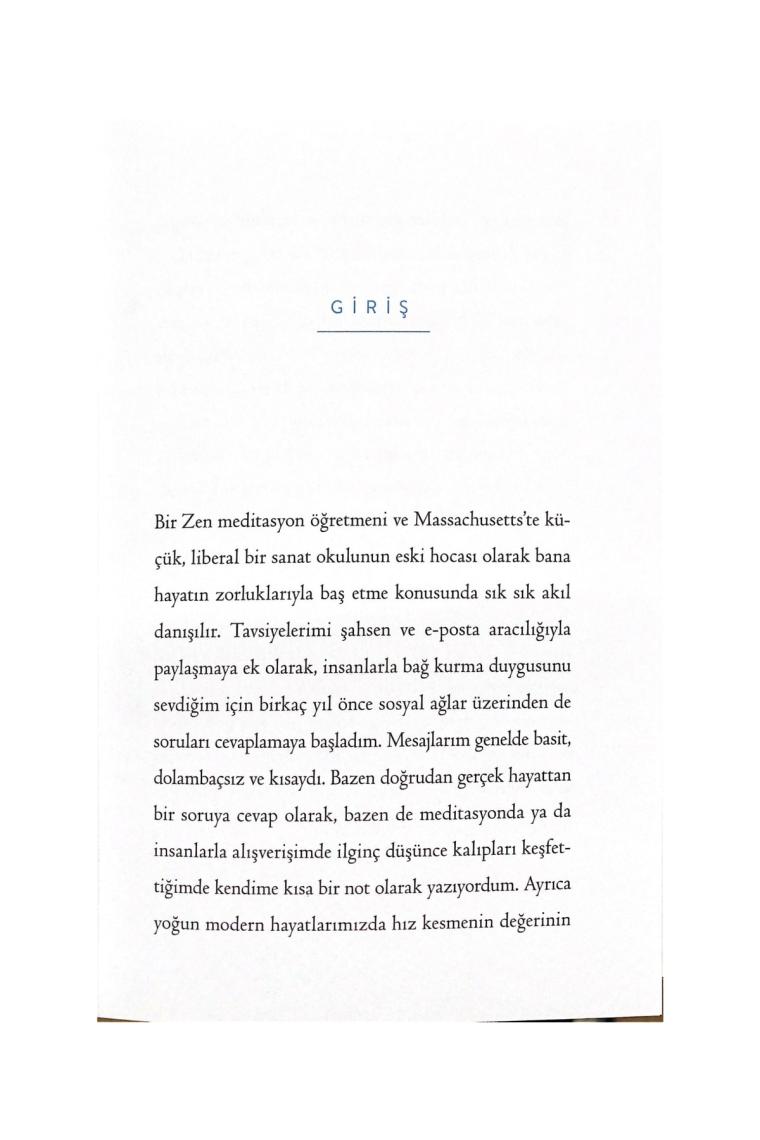 Yalnızca Yavaşladığında Görebileceğin Şeyler Haemin Sunim