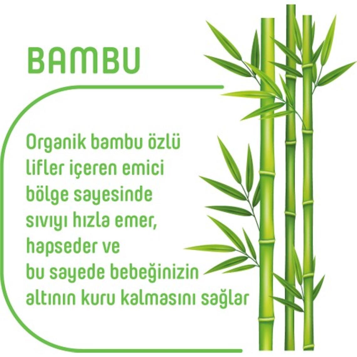 Pure Baby Organik Bambu Özlü Külot Bez 4'lü Paket 5 Numara Junior 160 Adet