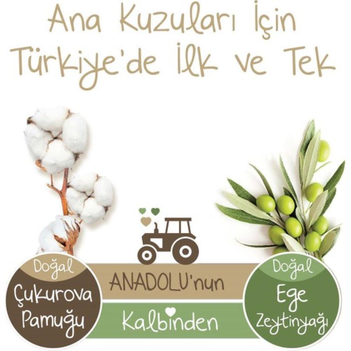 Baby Turco Doğadan 7 Numara XX Large 32'li Bebek Bezi