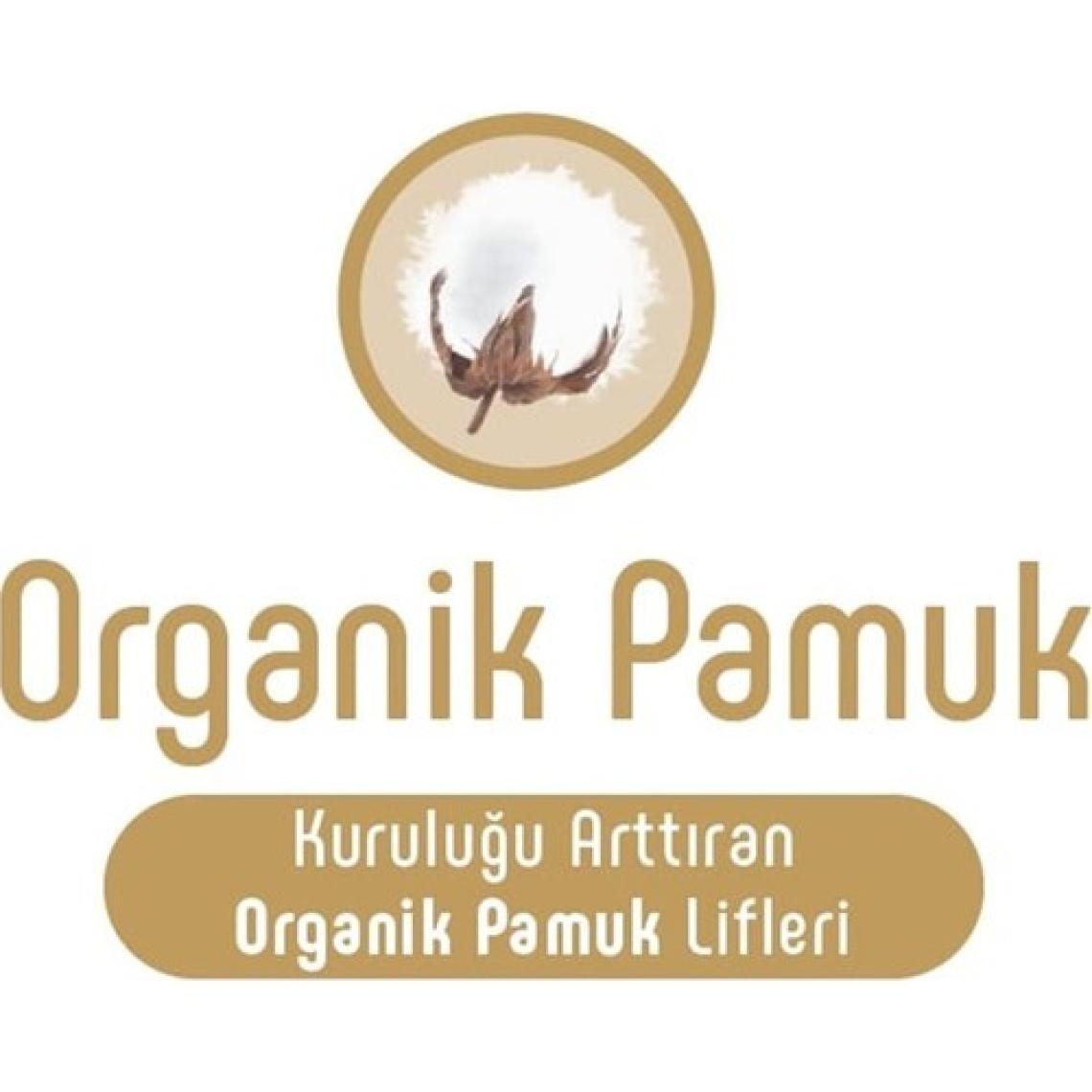 Sleepy Bebek Bezi Ekstra Fırsat Paketi 7 Numara 20 - 30 Kg XXLarge 70 Adet