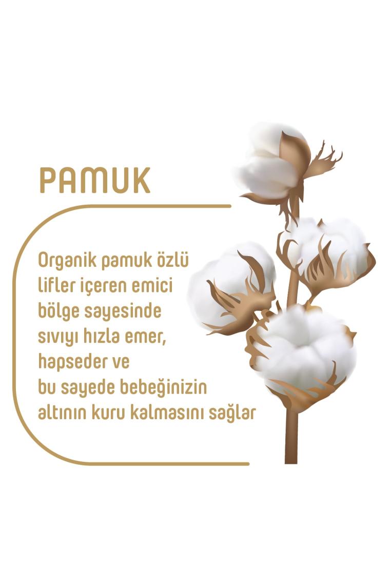 Pure Baby Organik Pamuklu Cırtlı Bez 3'lü Paket 5 Numara Junior 120 Adet