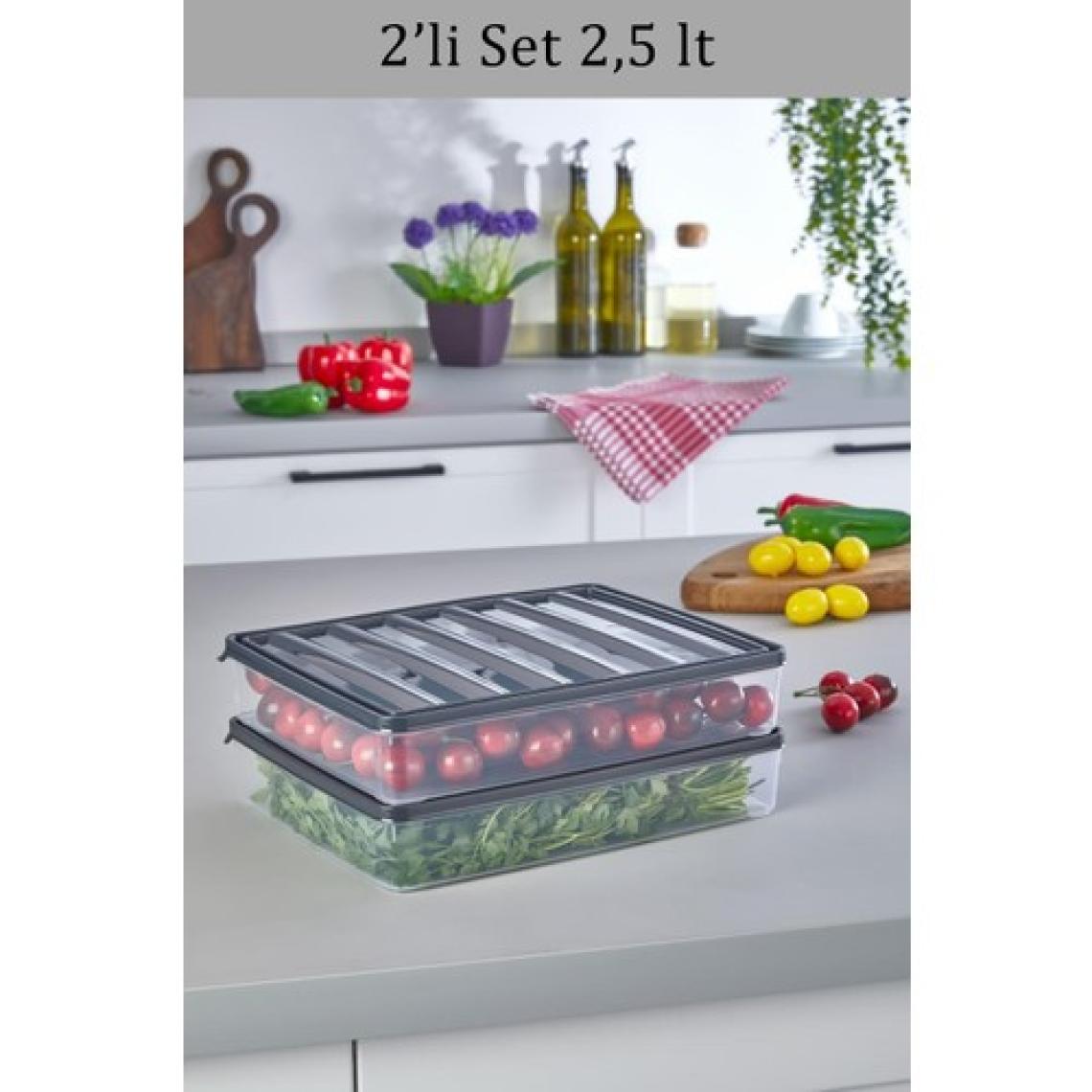 Krm Home 2 Adet 2,5 Litre Dondurucu, Bakliyat, Yemek Kabı, Piknik Kahvaltı Taze Gıda Saklama Kabı