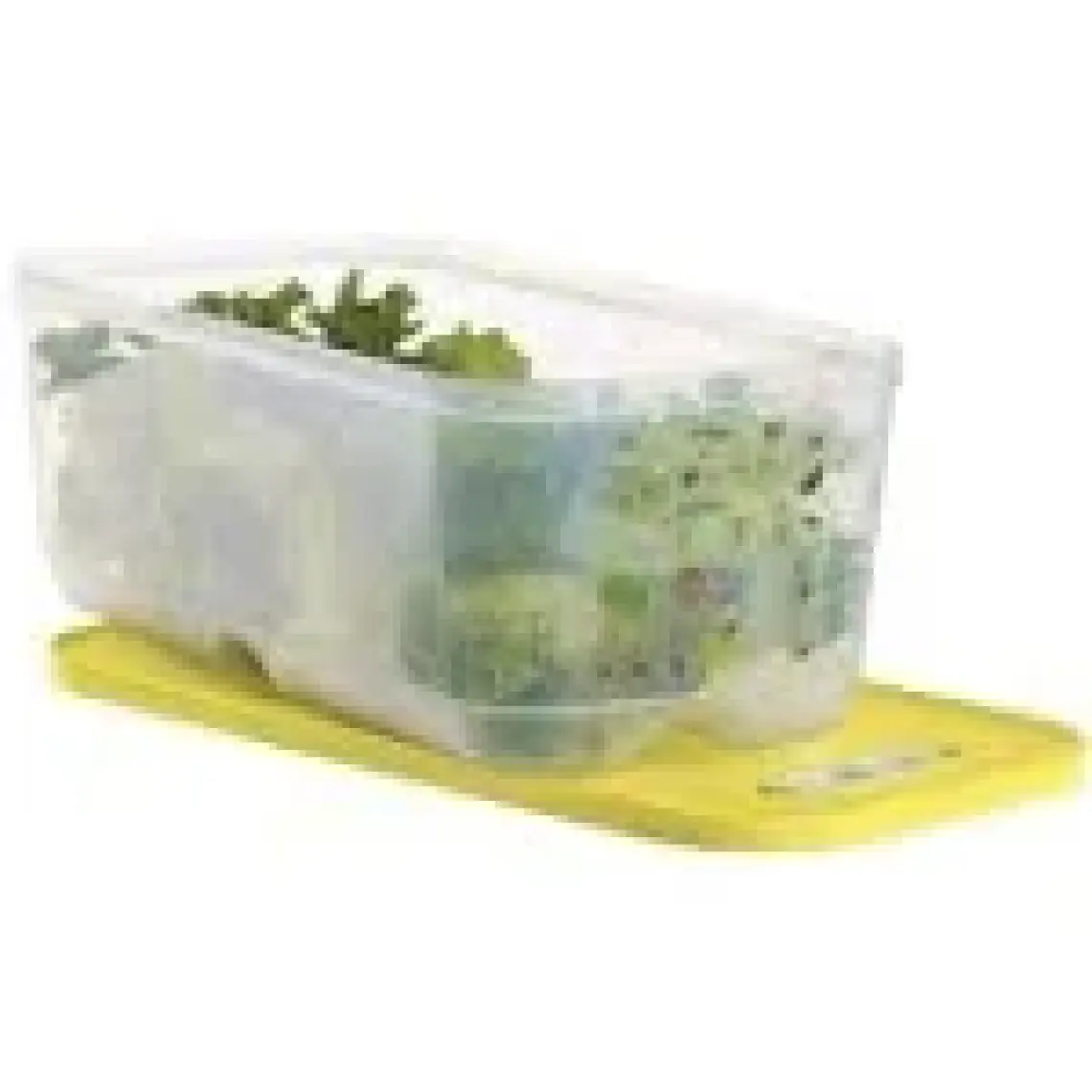 Tupperware Sera 6.1 Litre Saklama Kabı