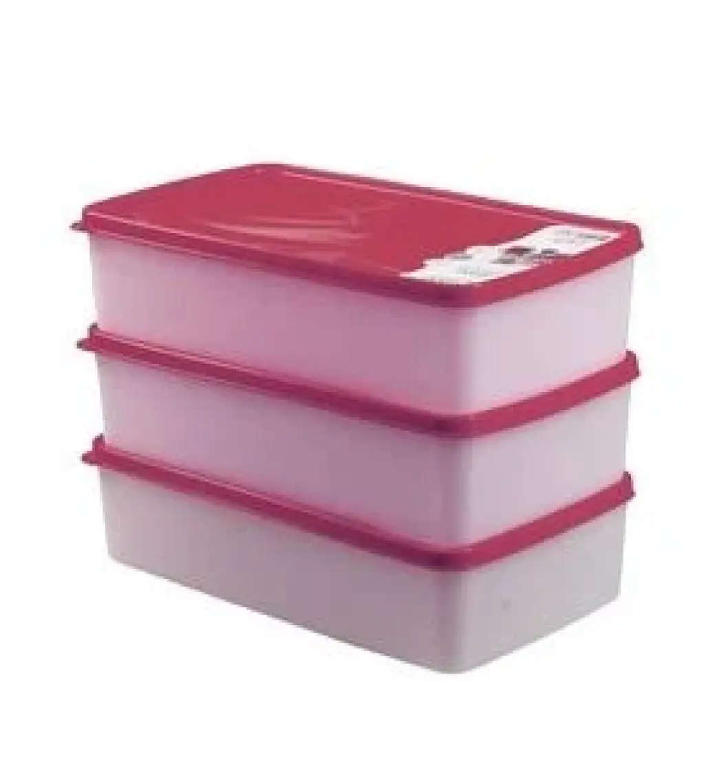 Hobby Life Alaska Nofrost Saklama Kabı 2 Litre 3'lü Fuşya
