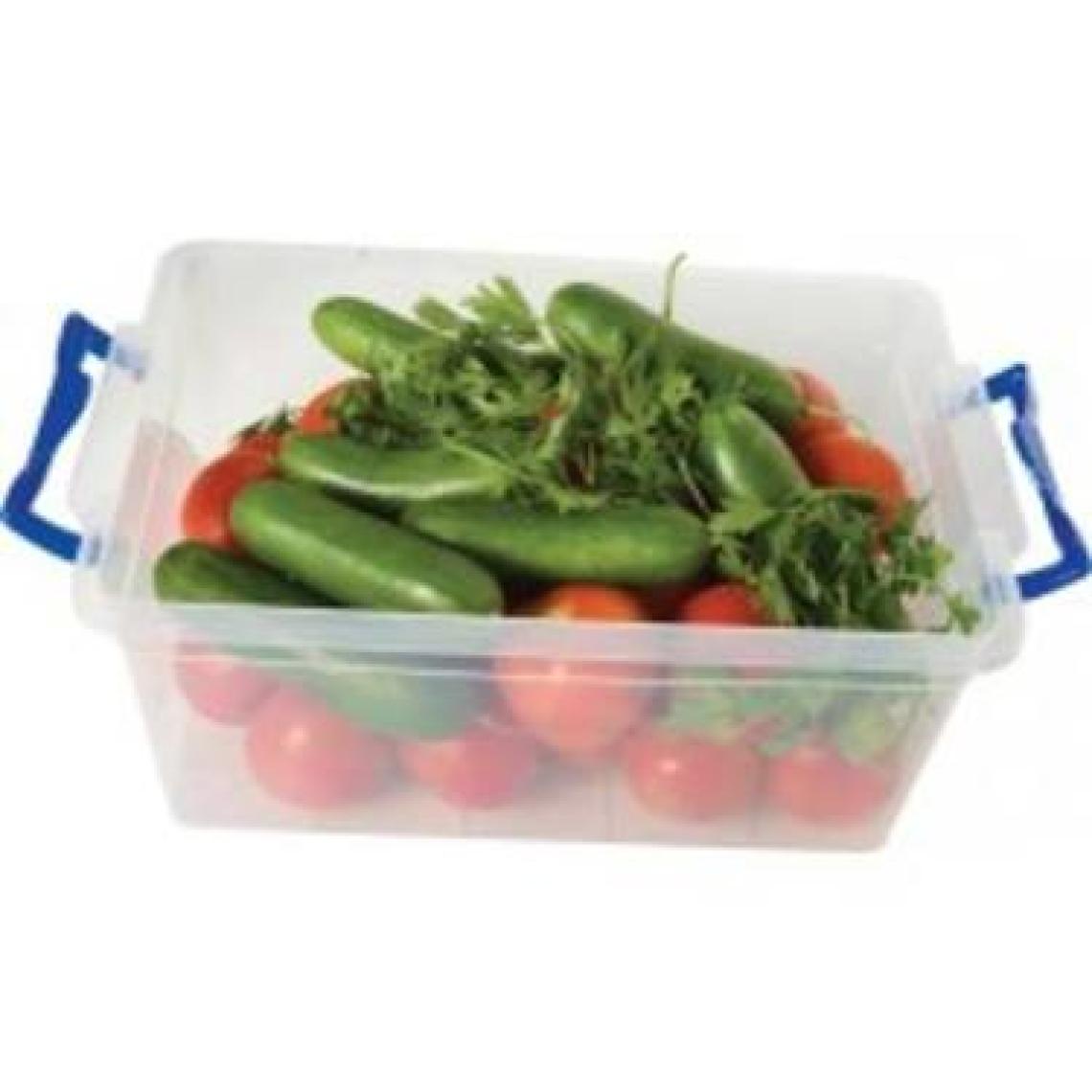 Erdem Plastik Killer Box 4 No 10 Litre Saklama Kab