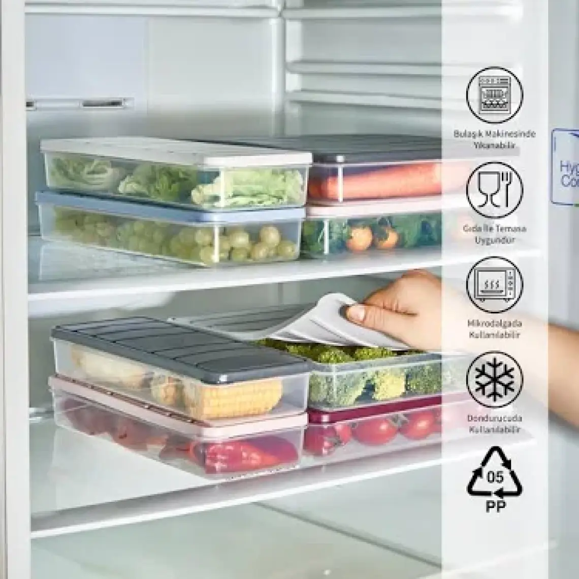 Selka Home Nora 4'lü Küçük Boy 1.2 Lt Saklama Kabı