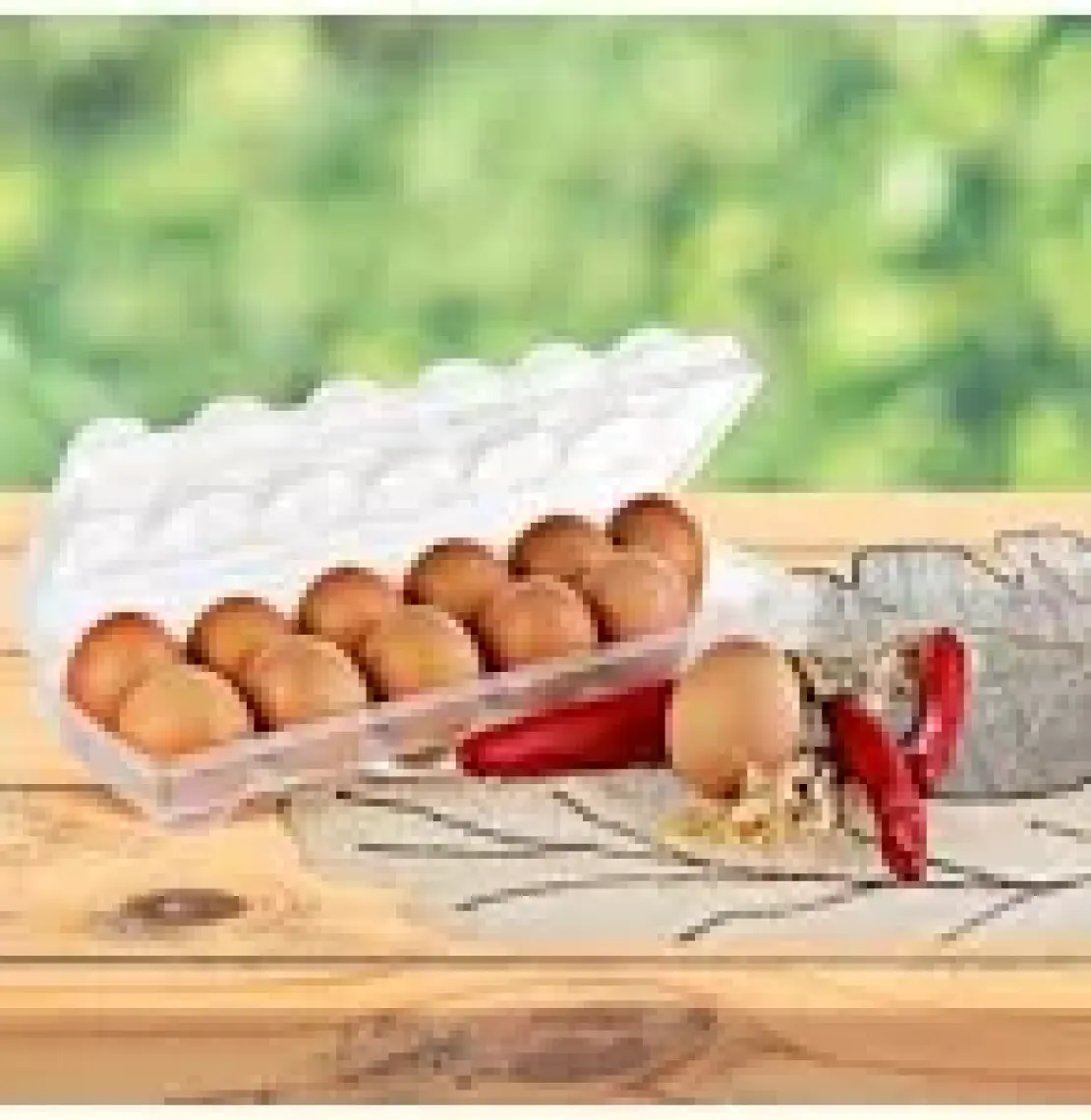 Titiz Eggo Yumurta Saklama Kabı 12 Bölmeli