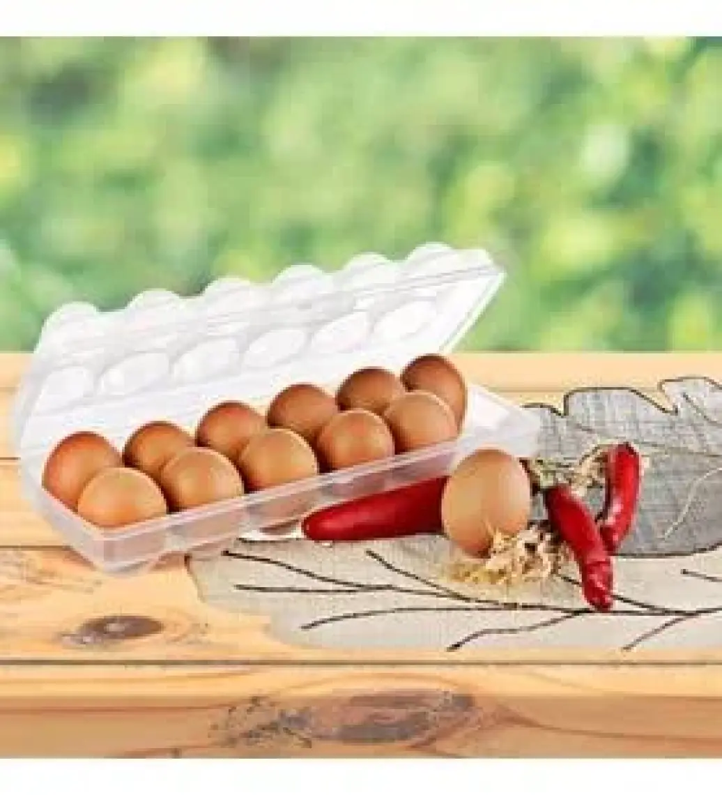 Titiz Eggo Yumurta Saklama Kabı 12 Bölmeli
