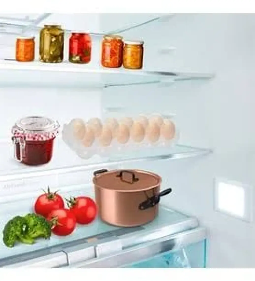 Titiz Eggo Yumurta Saklama Kabı 12 Bölmeli