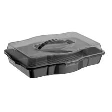Trio Kek Ve Borcam Taşıma Kabı (platin) - Brsv-1104 03pltn