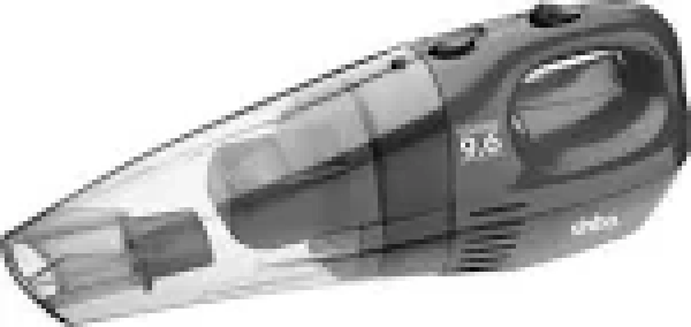 Sinbo SVC-3455 W Islak & Kuru Şarjlı Süpürge