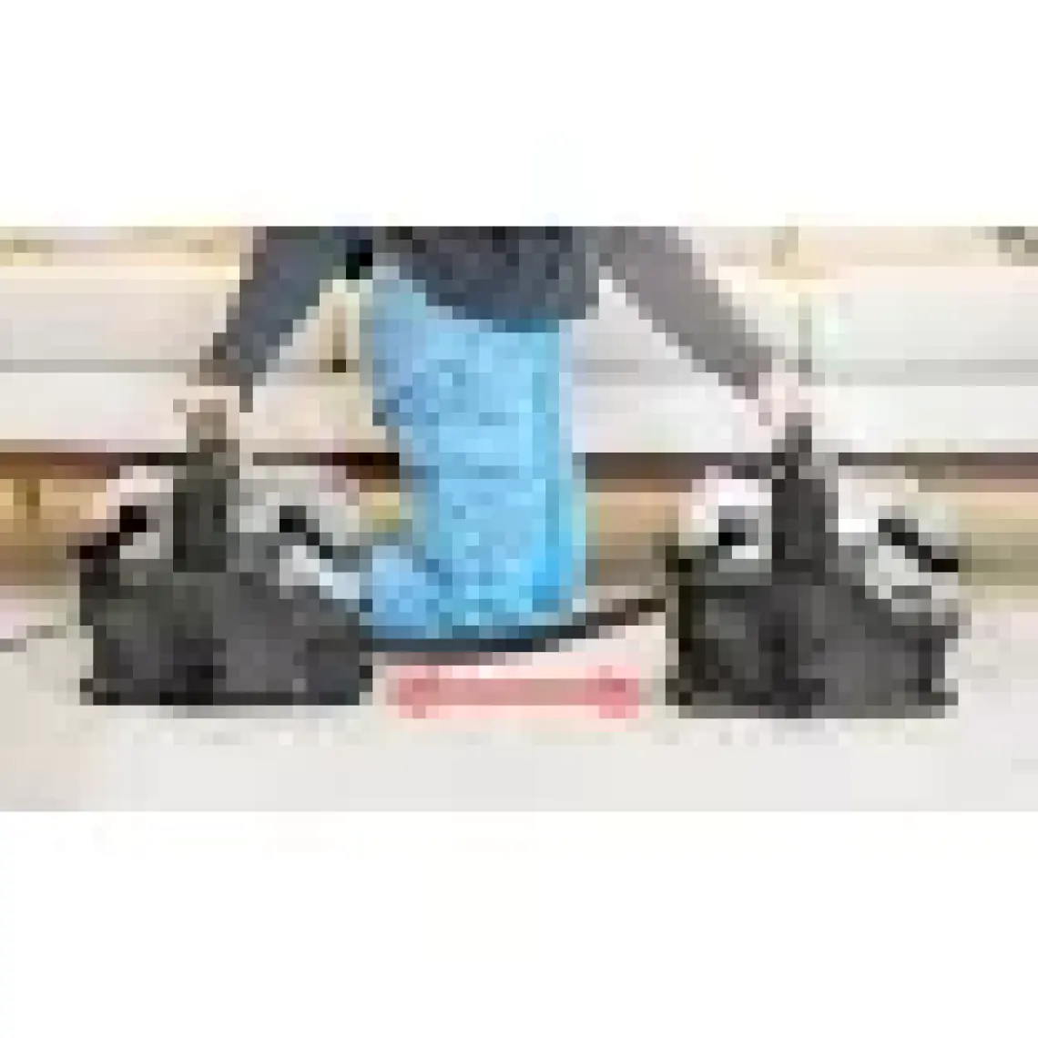 Bissell Spotclean Hydrosteam Pro Buharlı Farklı Yüzeylerde Kullanıma Uygun Halı – Koltuk Yıkama ve Leke Çıkarma Makinesi