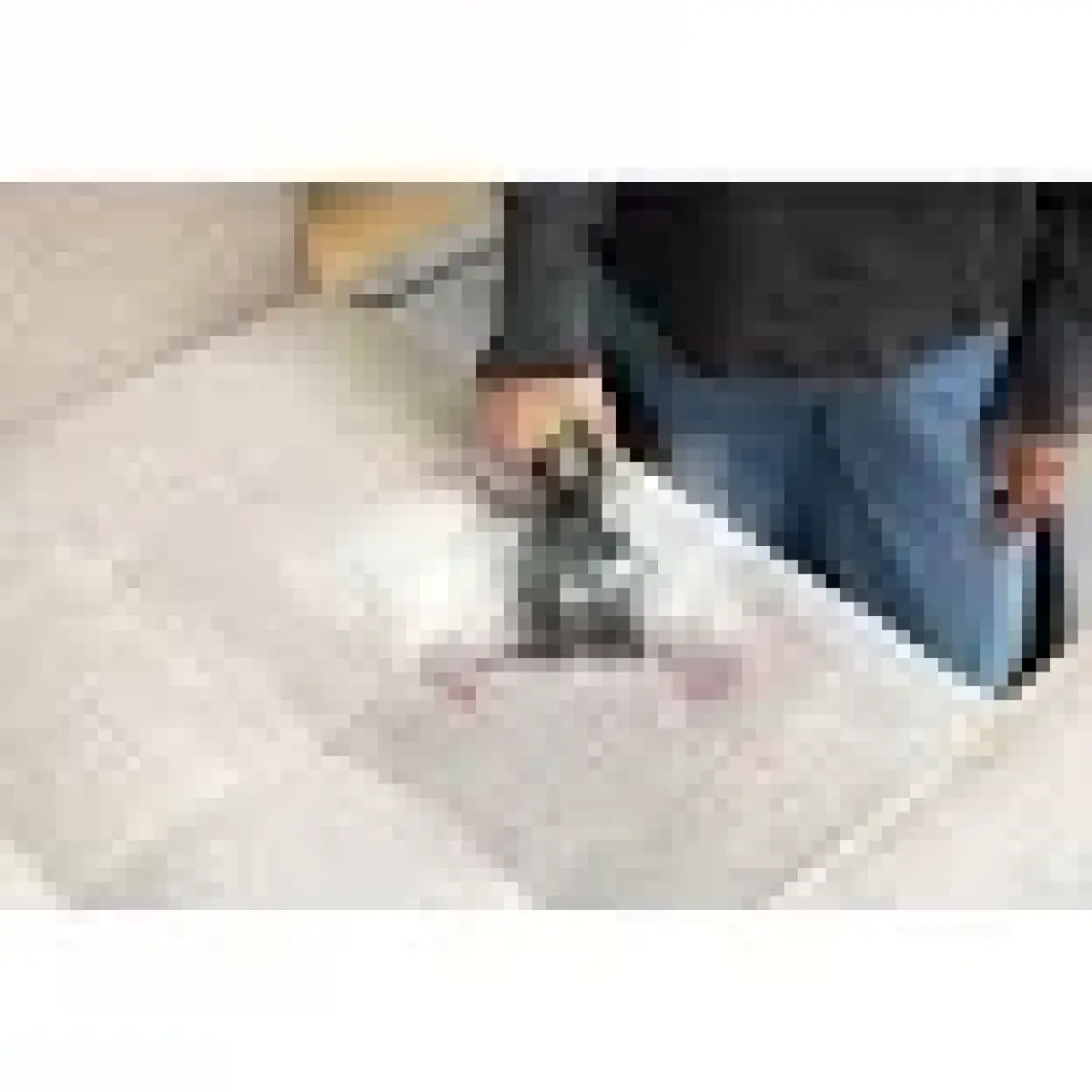 Bissell Spotclean Hydrosteam Pro Buharlı Farklı Yüzeylerde Kullanıma Uygun Halı – Koltuk Yıkama ve Leke Çıkarma Makinesi