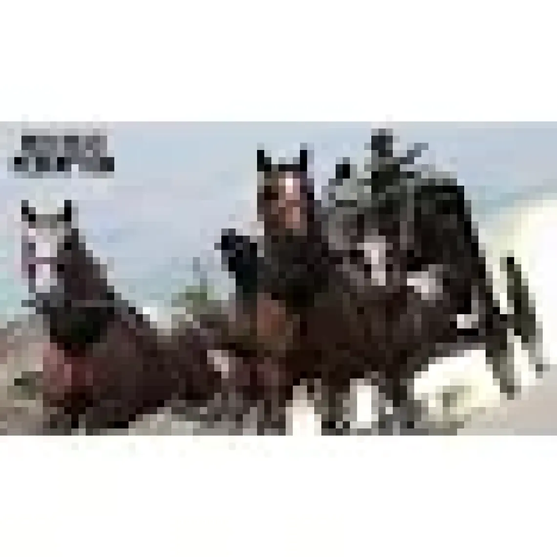 Rockstar Games Red Dead Redemption Ps3
