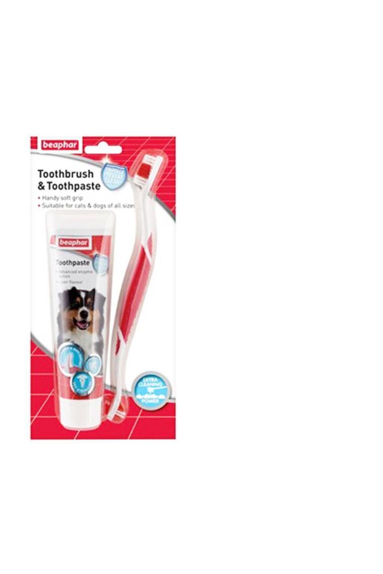 Toothbrush Köpek Diş Fırçası Ve Diş Macunu Seti