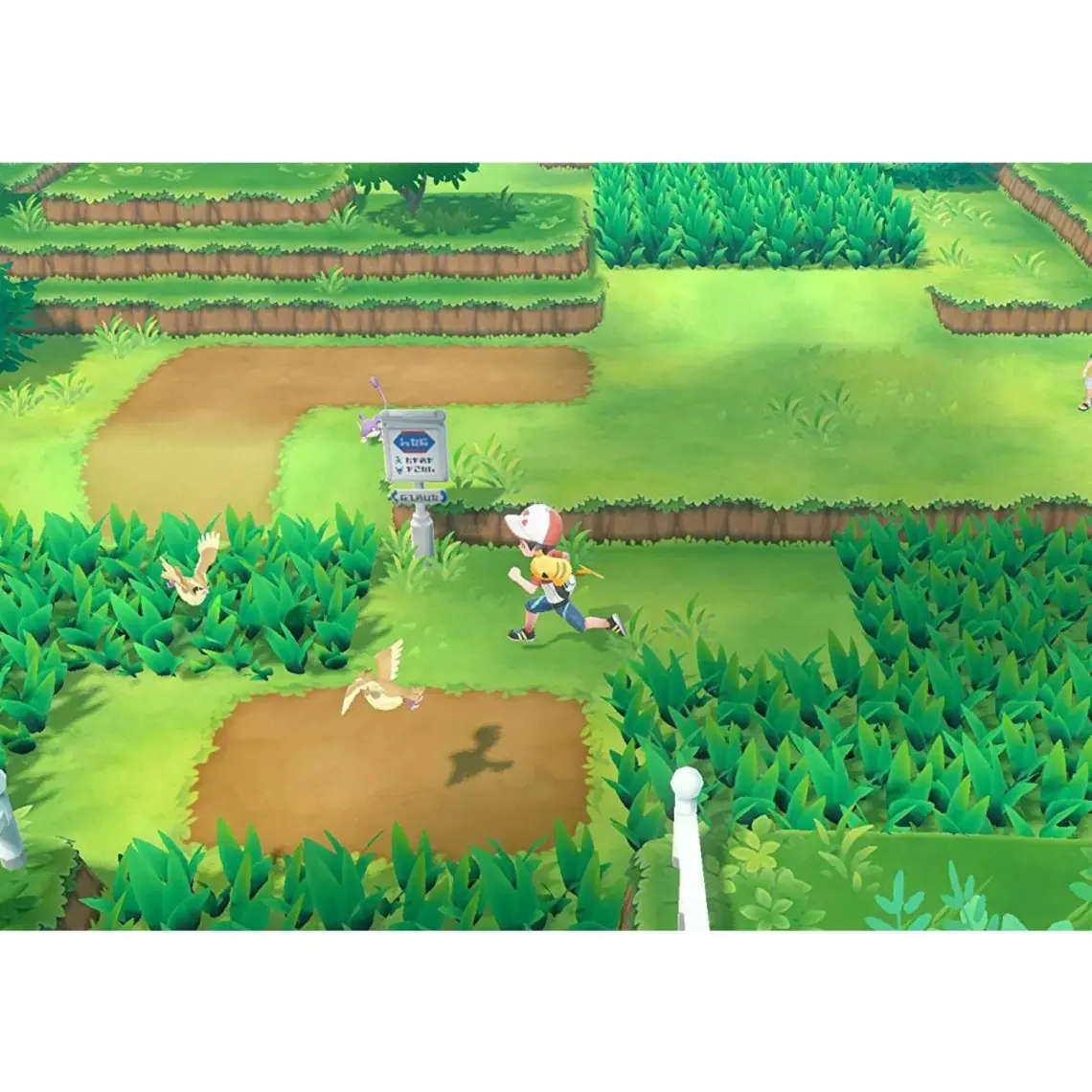 Pokemon : Let's Go Evee Nintendo Switch Oyun