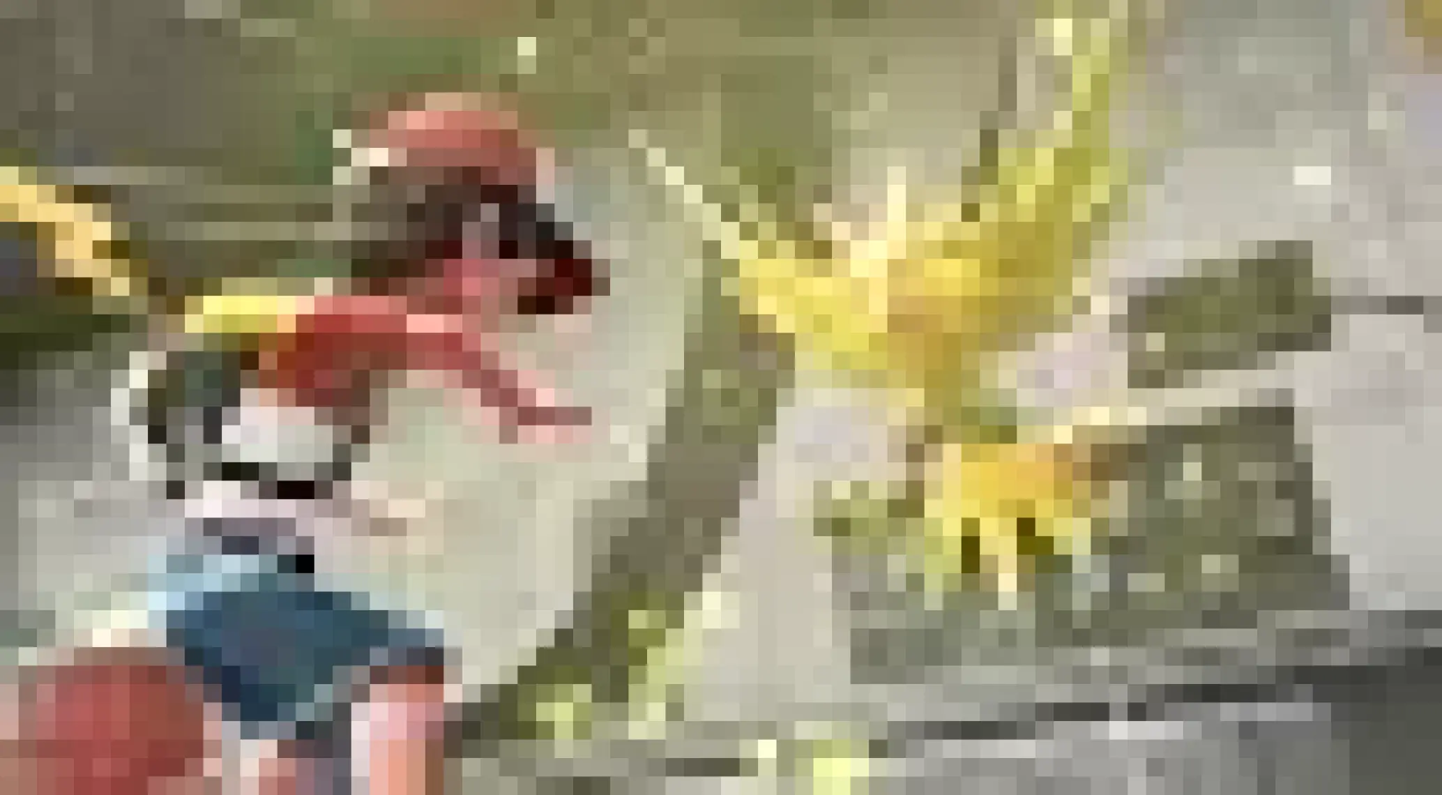 Pokemon : Let's Go Evee Nintendo Switch Oyun