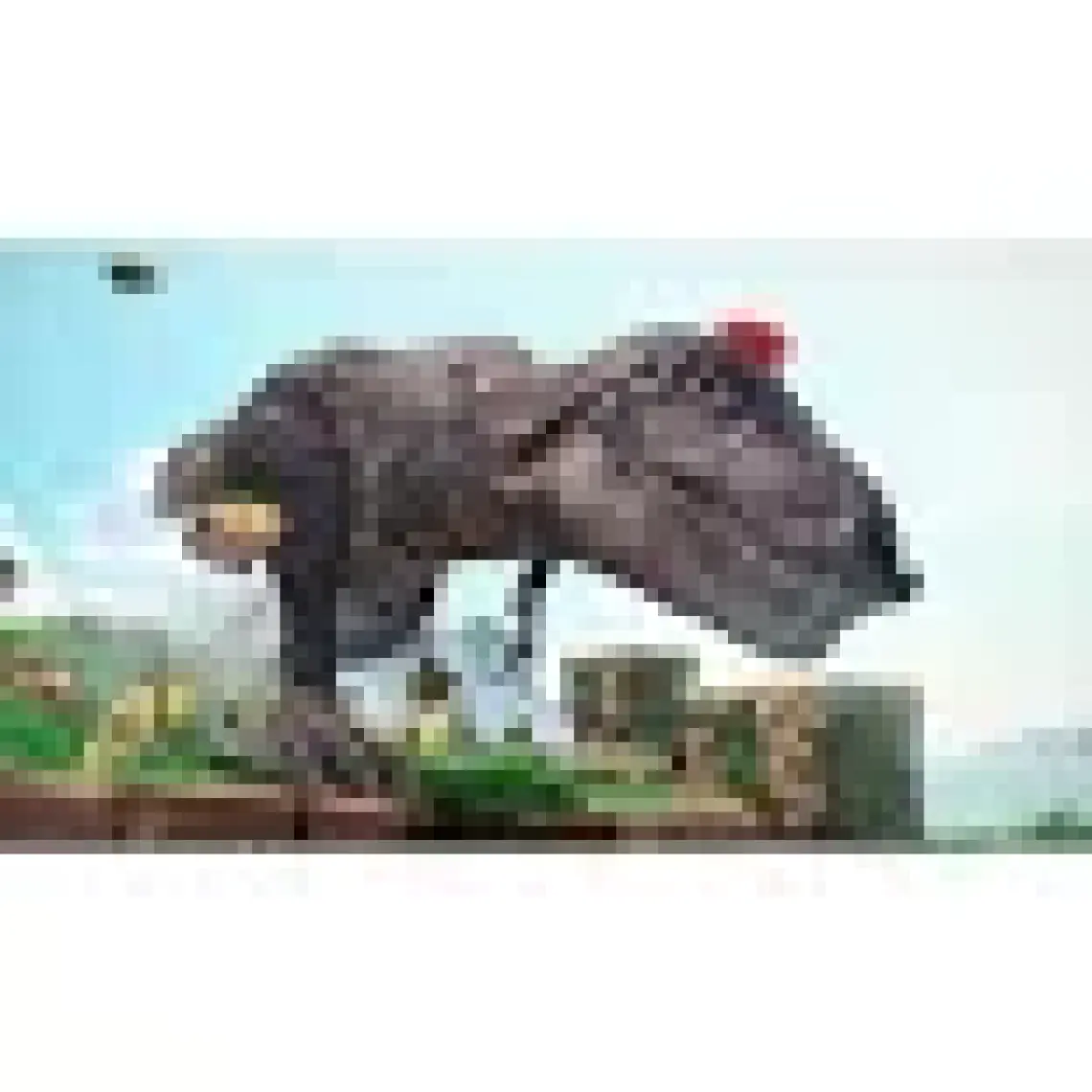 Nintendo Super Mario Odyssey Switch Oyun (Resmi Distribütör Ürünü)