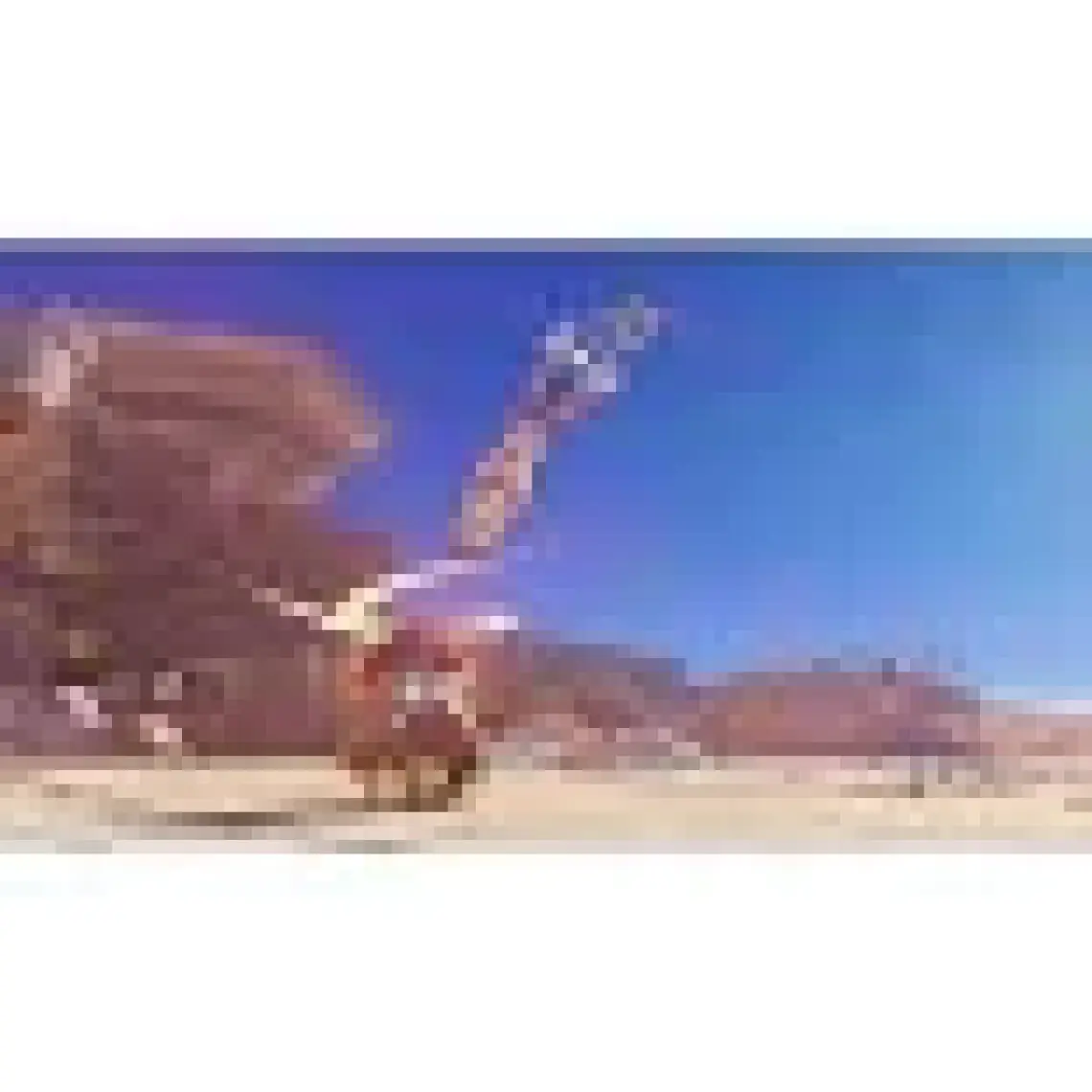 Nintendo Super Mario Odyssey Switch Oyun (Resmi Distribütör Ürünü)