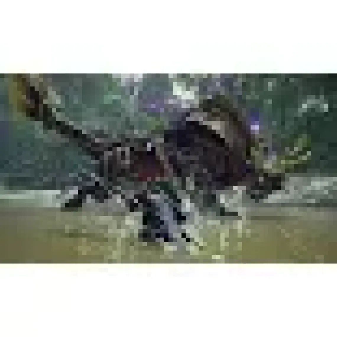 Capcom Monster Hunter Rise Nintendo Switch