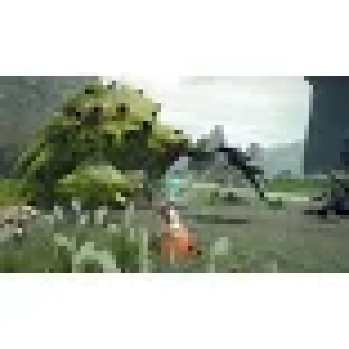Capcom Monster Hunter Rise Nintendo Switch