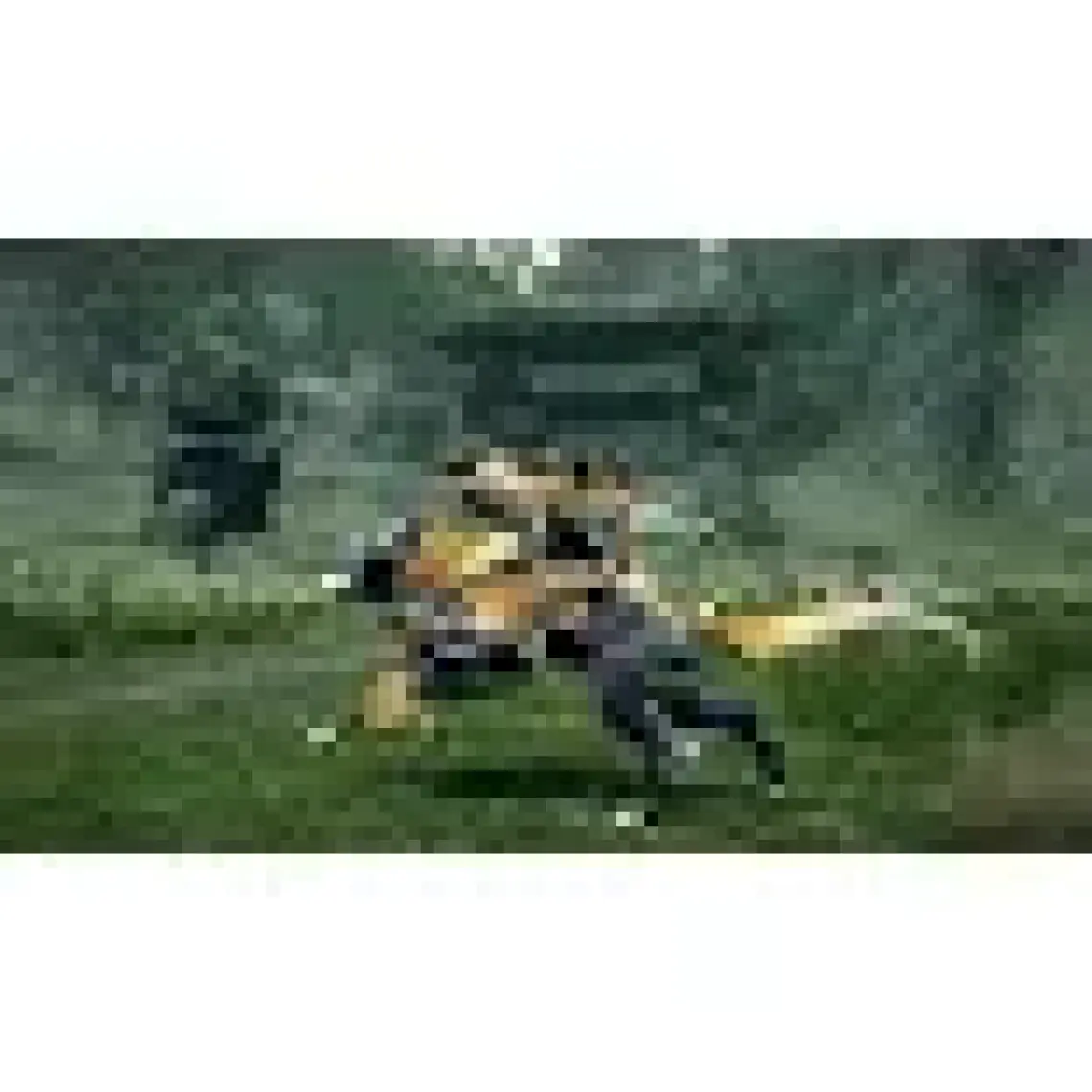 Capcom Monster Hunter Rise Nintendo Switch
